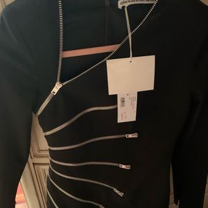 Alexander wang zipper dress never worn
